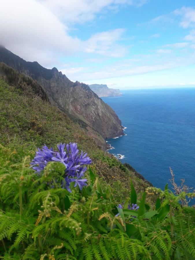 Funchal Bay View Holiday Rental Ngoại thất bức ảnh